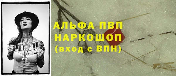 дмт Кострома