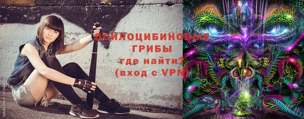 прущие крисы Новодвинск